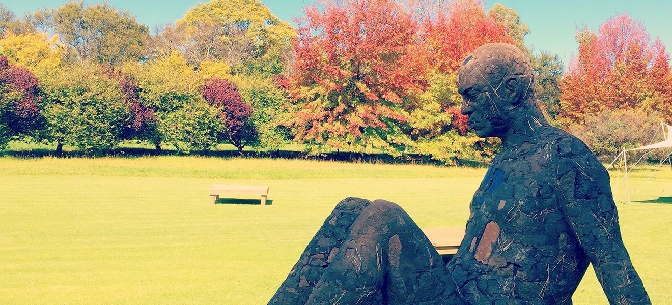 A large-scale sculpture by Pretoria-based sculptor Angus Taylor at Nirox Sculpture Park, which Lloyd-Anthony transforms into...